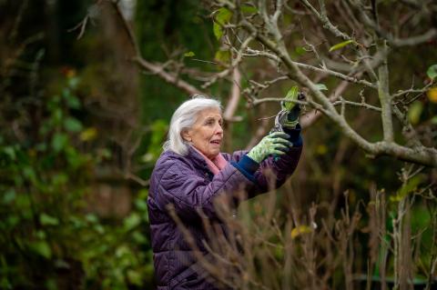 Woman gardening